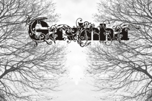 Gavinha: A Bold Display Font for Creative Campaigns
