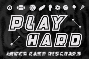 Play Hard Font for Web Design