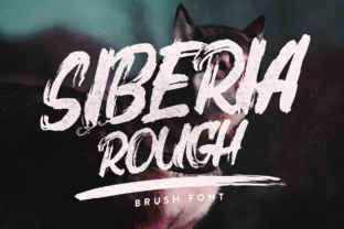 Siberia Rough: A Bold Font for Web Design