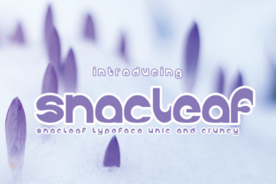 Snackleaf: Bold Display Font