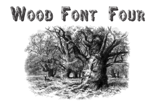Wood Four: A Bold Display Font